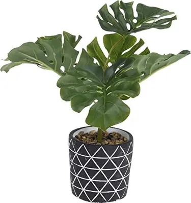 Immagine prodotto di Koopman International B.V. Künstliche Pflanze Monstera im Blumentopf, 26 x 32 cm, 640 g