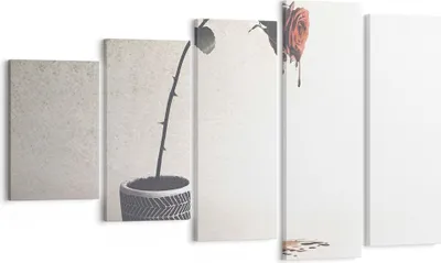 Produktbild von Bild auf Leinwand - Leinwandbild - 5 Teile - Symbol Rose Leiden - 100x60cm - Wand Bild - Wanddeko - Wandbilder - Leinwanddruck - Bilder - Wanddekoration - Leinwand bilder - Wandbild - EG100x60-4501