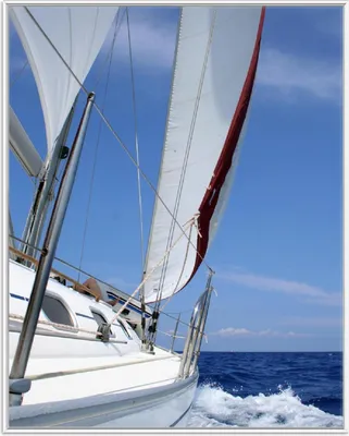 Produktbild von Wallario Wandbild Segelboot on Tour, Größe: 40,30 x 50,30 cm, Poster mit weißem Aluminiumrahmen