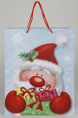 Image de 24 grands sacs cadeaux de Noël Sacs cadeaux 33x10x41cm