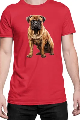 Produktbild von Herren T-Shirt Dogs Breeds Bullmastiff Dog Breed 006, Man S / Rot