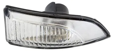 Für Renault Fluence Scenic Laguna Megane Spiegel Blinker Spiegelblinker RECHTS in der Farbe von GOLDCAR