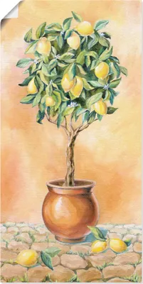 Produktbild von ARTland Poster Zitronenbaum I Größe: 50x100 cm