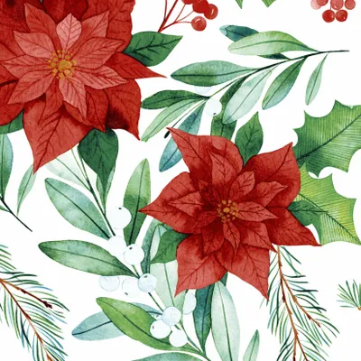 Produktbild von 20 Servietten Winter Nature - Roter Weihnachtsstern mit Blätter 33x33cm