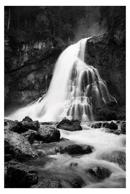 Productafbeelding van Foret - Cascade - 61x91,5 cm - Poster/Affiche