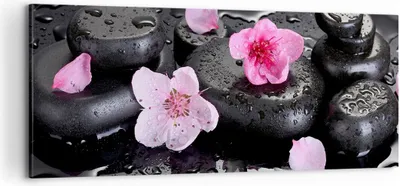 Produktbild von Bild auf Leinwand - Leinwandbild - Blumen Steine Tropfen Spa - 100x40cm - Wand Bild - Wanddeko - Leinwanddruck - Bilder - Kunstdruck - Wanddekoration - Leinwand bilder - Wandkunst - AB100x40-2714