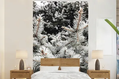 Produktbild von MuchoWow® Fototapete für Wohnzimmer oder Schlafzimmer Wandtapete Vinyl Motivtapete Winter - Baum - Äste - 180x280 cm - Wallpaper