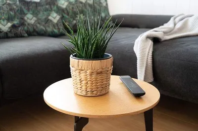 Zdjęcie produktu dla Zestaw 3 doniczek Famanu, okrągłych, plecionych, wykonanych z trawy morskiej - średnica: 16 cm, 20 cm, 26 cm