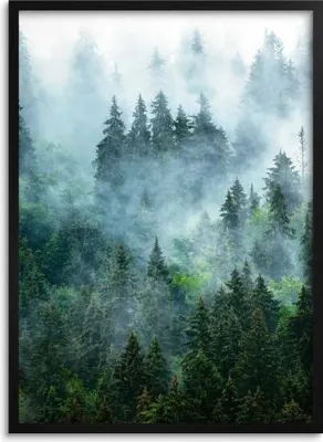 Obrázek produktu pro Nástěnný plakát do obývacího pokoje, kanceláře nebo ložnice Les Stromy 70x100
