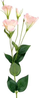 Produktbild von Kunstblume Lysianthus Zweig Hochzeit Deko Geschenkidee