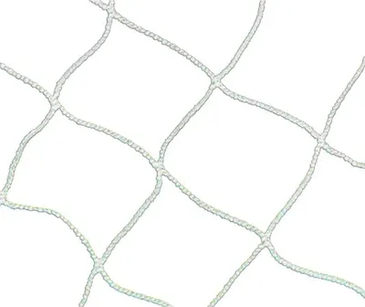 Immagine prodotto di Rete da calcio Softee trasparente 100 x 65 cm trasparente 100 x 65 cm