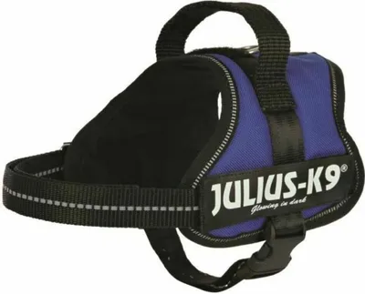 Zdjęcie produktu dla Julius-K9® Powerharnais® dla niemowląt 1–Mini 40–53 cm/22 mm niebieski