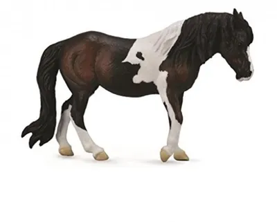 Immagine prodotto di COLLECTA Cavalla Dartmoor Chestnut- (L)