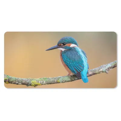 Produktbild von MuchoWow® Schreibtischunterlage Vogel - Eisvogel - Tiere - Zweig 80x40 cm - XXL Mauspad - Gaming Mauspad