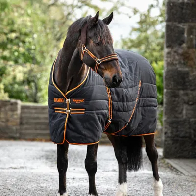 Produktbild von Horseware Rambo Stable 200g - Black/Orange