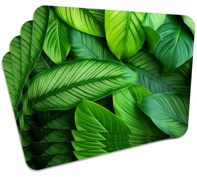 Produktbild von MG Design Set aus 4 Kork-Platzsets - Leaves 3 - 30 x 40 cm - hitzebeständig & abwischbar, mit Korkrückseite