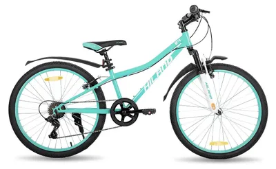 Immagine prodotto di Bicicletta per bambini - Mountain bike da 20 pollici (circa 51 cm) - Sospensione anteriore - Per ragazzi dai 14 anni in su - Telaio in metallo - Verde