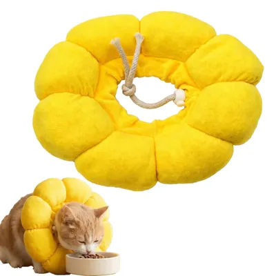 Image de Collier pour chat doux et réglable avec protection contre les fuites