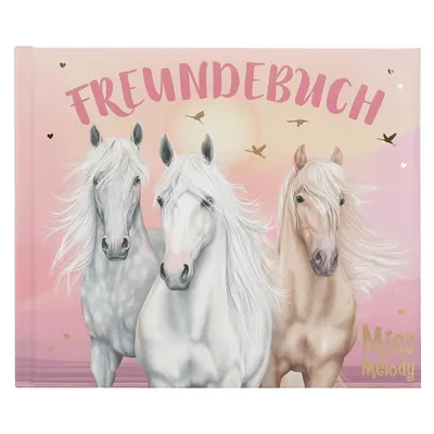 Immagine prodotto di Depesche Miss Melody Freundebuch, Motiv 1 Sundown