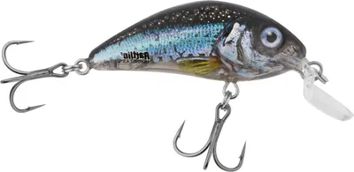 Immagine prodotto di Salmo Rattlin' Hornet - Wobbler galleggiante per acque poco profonde, trasparente con effetto olografico, colore Smelt, 3,5 cm, 5,5 g