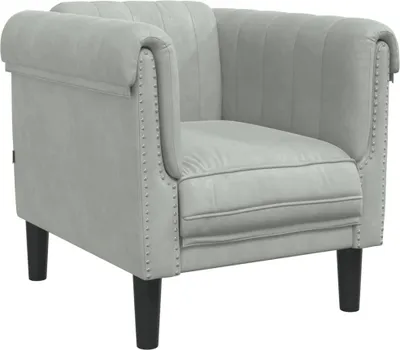 Image de Fauteuil gris clair Velours