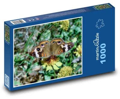 Obrázok produktu pre Puzzle 1000 Farebný motýľ na kvetine - martinpuzzle