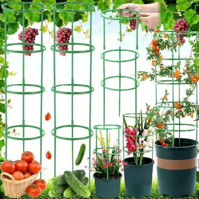 Image de Support réglable en hauteur pour plantes grimpantes – Tuteurs pour plantes – Cage à tomates – Acier inoxydable robuste – Lot de 100 pièces avec anneaux et tiges