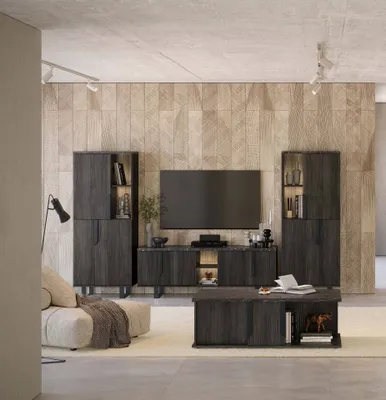 Produktbild von Wohnwand Orion 4-Teilig in Rosenholzoptik/Schwarz 165 cm