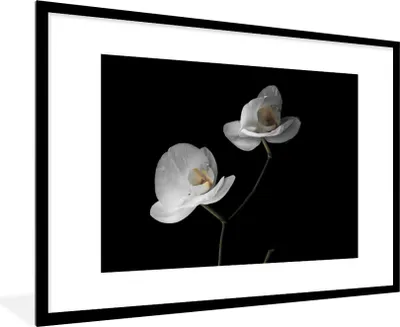 Produktbild von MuchoWow® Gerahmtes Poster Orchidee - Blumen - Schwarz - Weiß - Stilleben 90x60 cm - Poster mit Schwarzem Bilderrahmen Wandposter Rahmen Foto Bilder - Wanddekoration - Fotos