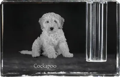 Produktbild von Cockapoo - Stifthalter, Kristallorganizer mit Hundefoto, einzigartige Schreibtischdekoration der Marke Art-Dog