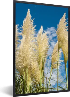 Produktbild von MuchoWow® Gerahmtes Poster Pampasgras - Pflanze - Natur 60x90 cm - Poster mit Schwarzem Bilderrahmen Wandposter Rahmen Foto Bilder - Kunst