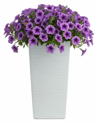 Immagine prodotto di HowHomely | Vaso da fiori - bianco - L35xH68 cm - struttura scanalata - coprivaso - fioriera