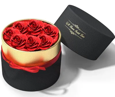 Image de Coffret cadeau contenant 7 roses éternelles