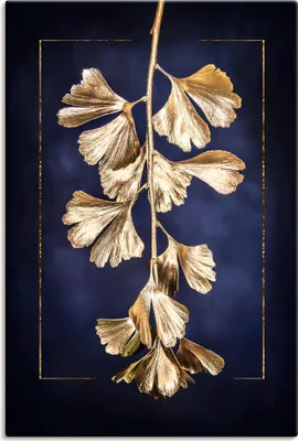 Produktbild von ARTland Leinwandbild Goldener Gingko Größe: 60x90 cm