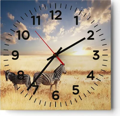 Produktbild von Wanduhr - Quadrat - Glasuhr - Zebra tier gestreift savanne - 40x40cm - Schleichendes Uhrwerk - Lautlos - zum Aufhängen bereit - Dekoration Modern - Wanddekoration aus Glas - C4AC40x40-2596