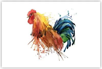 Produktbild von Poster - Poster ohne Rahmen - Hahn Ilustration Tier Farben - 91,5x61 cm - Wand Bild - Wanddeko - Wandbilder - Kunstposter - Wandposter - Bilder - Kunstdruck - Wanddekoration - Wandbild P2XAA91x61-2842