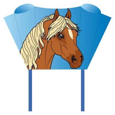 Zdjęcie produktu dla Latawiec bez wędki HQ Sleddy Pony