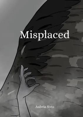 Produktbild von Misplaced