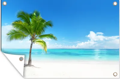Produktbild von MuchoWow® 60x40 cm Outdoor-Poster Gartendeko Sichtschutz Garten Poster für den Garten  Palme - Strand - Meer - Sommer