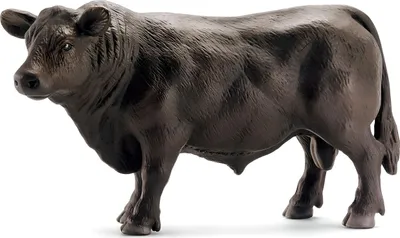 Image de SCHLEICH Taureau Black Angus 0 0 0