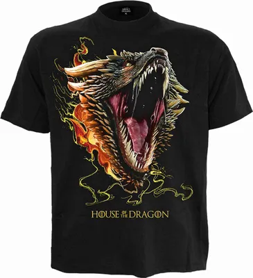 Produktbild von House Of Dragons - Drogon - T-Shirt M