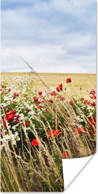 Produktbild von MuchoWow® Poster Wolken - Blumen - Rot 60x120 cm - Wandschmuck