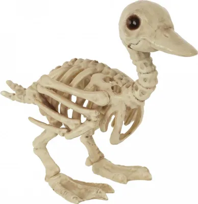 Produktbild von Skelett Baby Ente als Deko 19cm