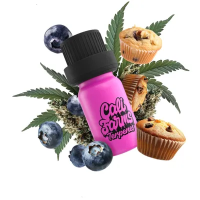 Immagine prodotto di Hanf-Terpene Botanicals | TERPEN-PROFIL - Blueberry Muffin | 1 ml
