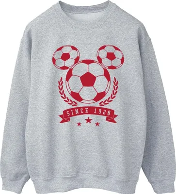 Produktbild von Disney - Sweatshirt für Damen BI28765 (XXL) (Grau)