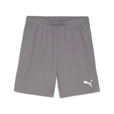 Produktbild von Puma Teamgoal Shorts Herren - Grau