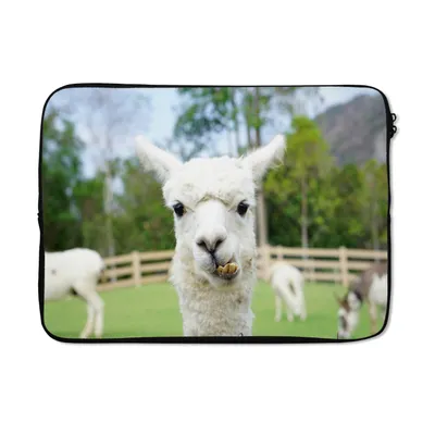 Produktbild von MuchoWow® Laptop Hülle 14 ZollAlpaka - Nahaufnahme - Pflanzen Laptoptasche - Laptoptasche - Stoßsicher - Schutzhaube