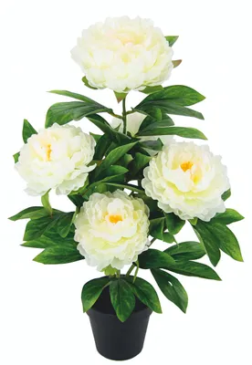 Image de Bouquet de pivoines artificielles pour la décoration
