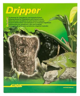 Image de Distributeur d'eau Boomstronk pour terrarium