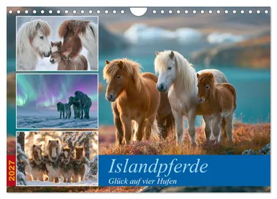 Produktbild von Islandpferde (Wandkalender 2027 DIN A4 quer), CALVENDO Monatskalender